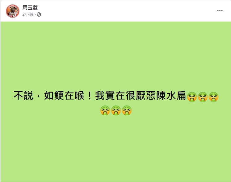 周玉蔻突開砲。（圖／翻攝自周玉蔻臉書）