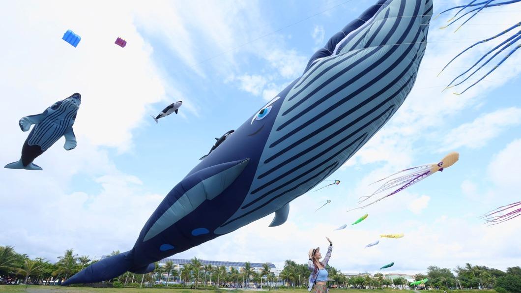 超壯觀!16公尺大鯨魚空中飛舞 旗津風箏節20日登場