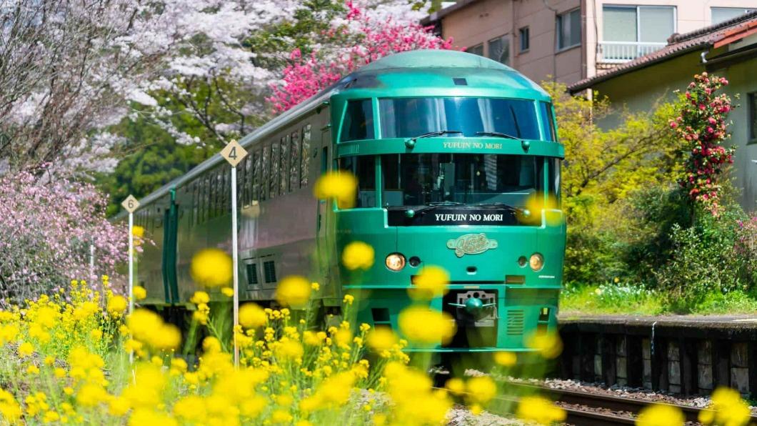 九州最經典的由布院之森觀光列車。(圖/易飛網提供)