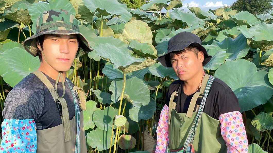 2人下田採蓮子。(圖/八大提供)