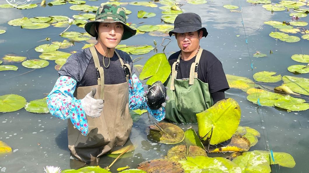 身穿青蛙裝,下田採蓮子讓2人哀聲連連。(圖/八大提供)