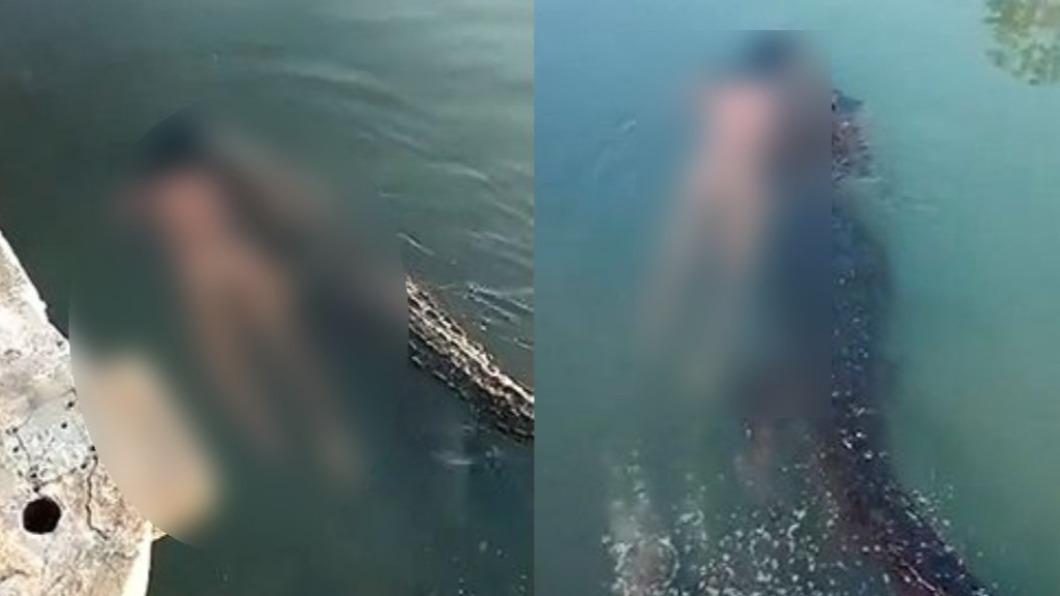 男子冒險戲水,結果成為鱷魚俎上肉。(圖/翻攝自推特)
