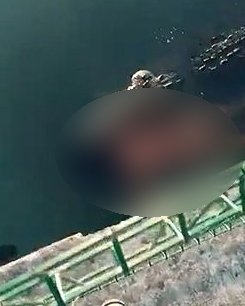 鱷魚拖著男子屍體從遊客腳下游過。(圖/翻攝自推特)