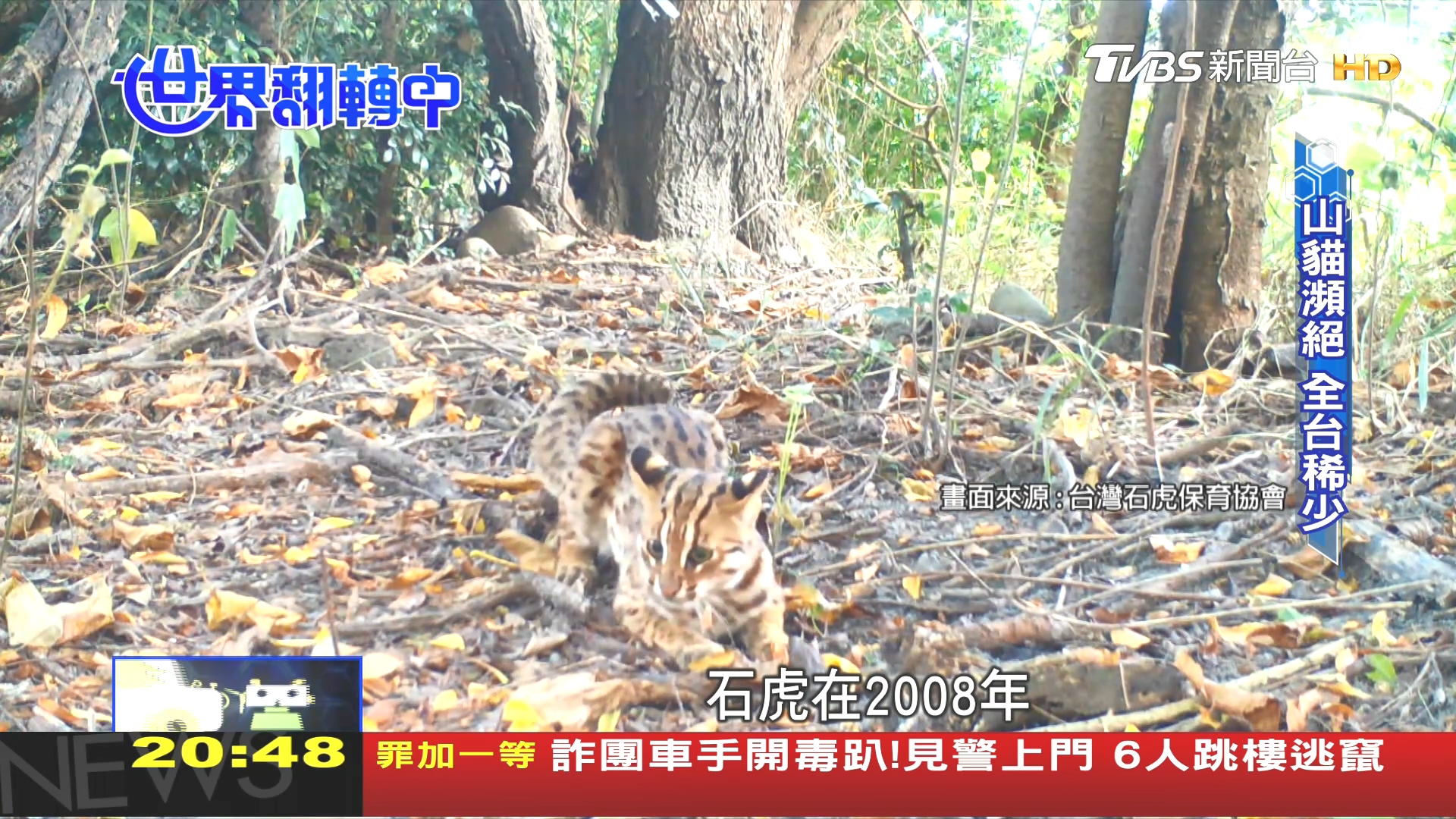 圖/TVBS