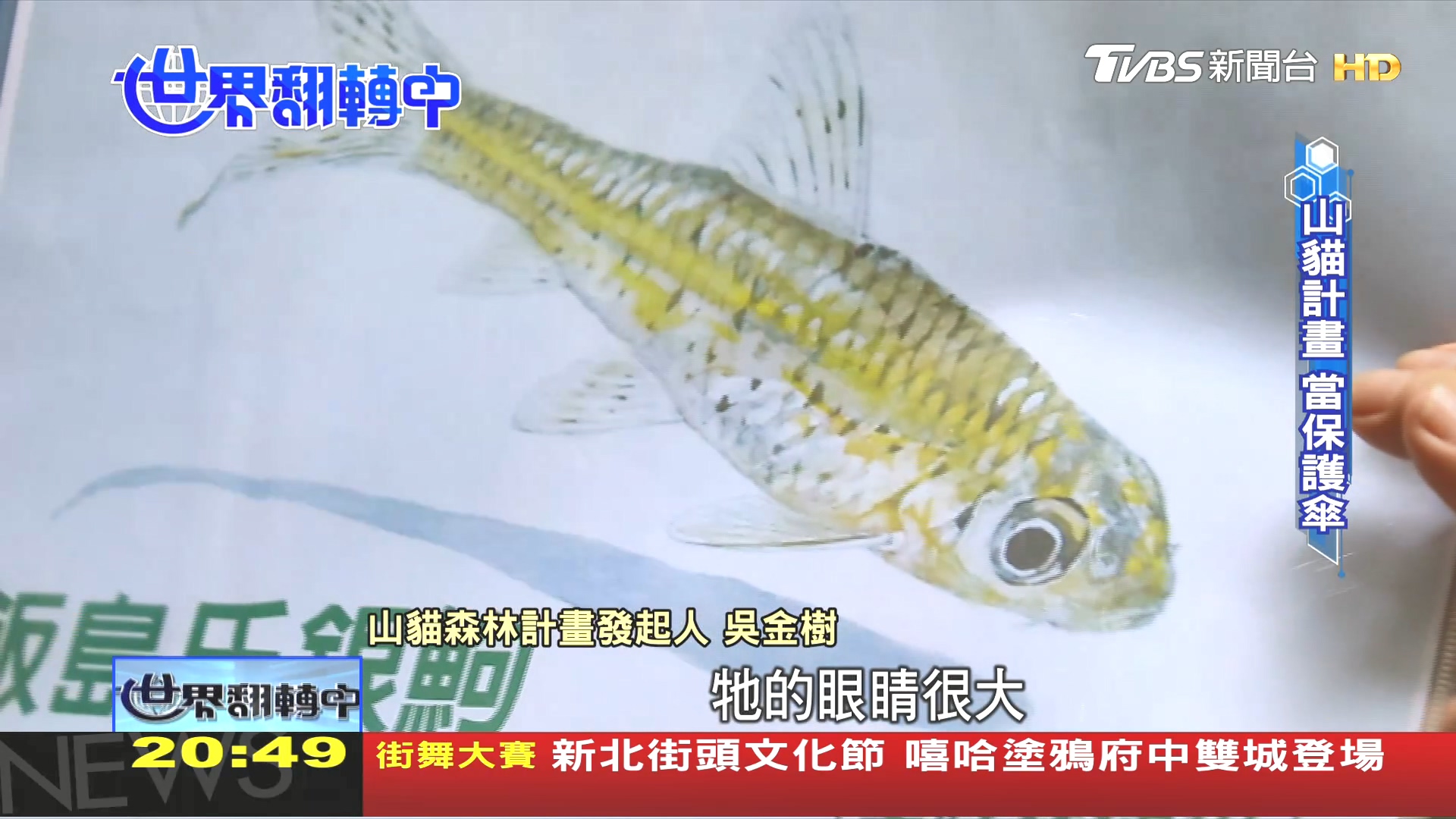 圖/TVBS