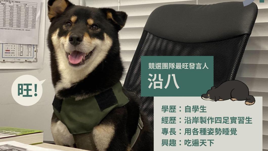 黃珊珊酸把寵物當「選舉工具」 陳時中:愛狗的心都一樣