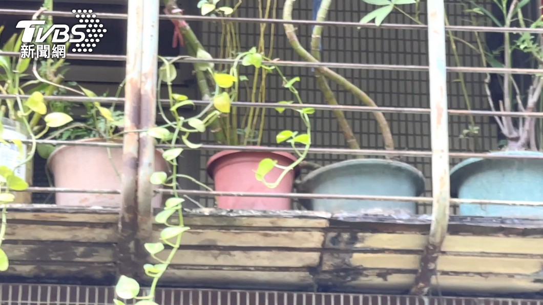圖／TVBS