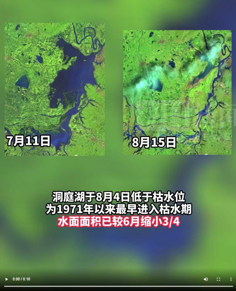 洞庭湖水量不足,導致大類魚類死亡。(圖取自極目新聞網頁ctdsb.net)