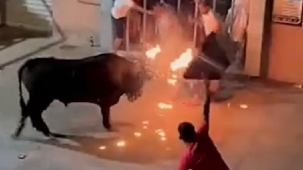 奔牛活動「toro embolado」,也就是在牛角上綁上易燃物並將其點燃,於夜晚將牛放到大街上狂奔。(圖/翻攝自每日郵報)