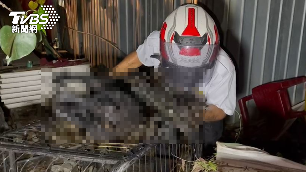 開電扇不慎電線走火!2愛犬成焦屍 飼主擁吻淚別