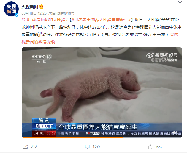 央視為熊貓寶寶徵名,吸引1500多條評論。(圖/翻攝自《央視新聞》微博)