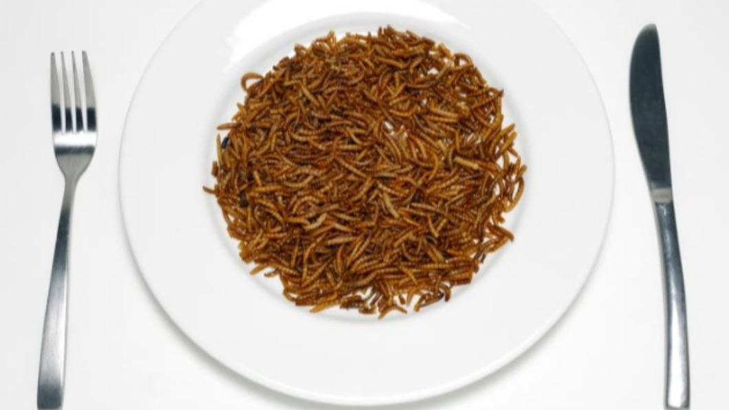 科學家推這款昆蟲「獨特美味」 解決全球飢餓問題