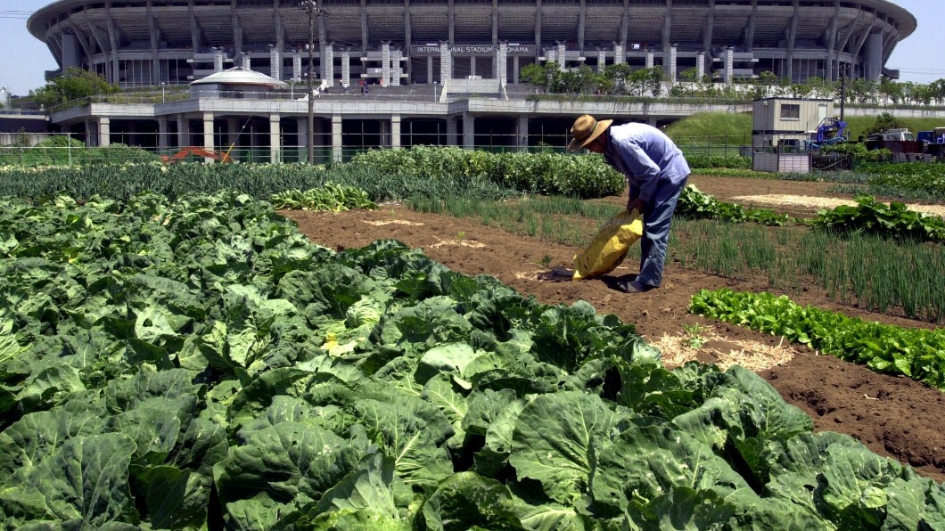 下水道髒泥種菜 日本產高CP值「污泥肥料」