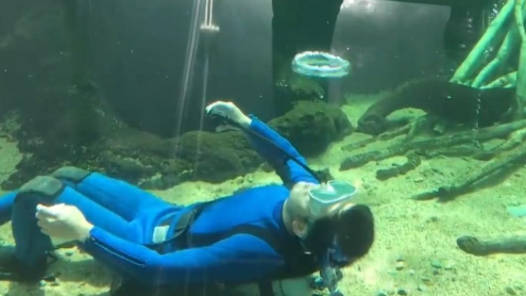 真的是「工讀生出來」!水族館沒白鯨 靠他吐泡泡撐場面