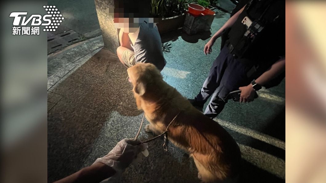 黃金獵犬全程陪伴在主人身旁。(圖/警方提供)