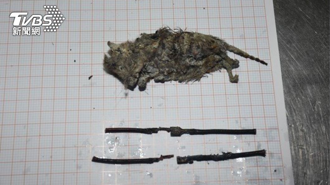 離奇! 門窗緊閉無人在家卻起火 兇手竟然是他