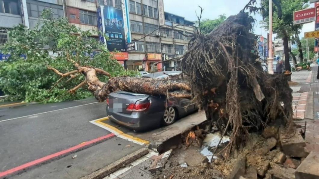 快訊/高雄午後狂風暴雨!建國路樹連根拔起 橫倒毀車