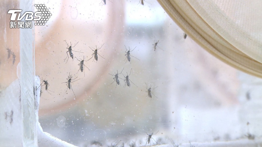 天熱被叮滿頭包! 中醫師揭「2體質」易流汗:蚊子最愛