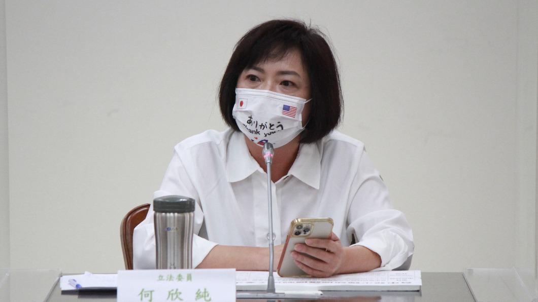 民進黨立委何欣純。（圖/張廖萬堅辦公室提供）