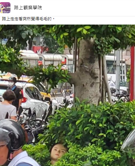 有一顆人頭躺在樹叢裡。（圖／翻攝自路上觀察學院臉書）