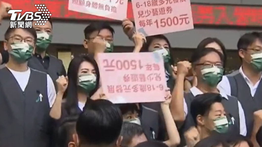 立委高嘉瑜拿反宣傳手板。(圖/TVBS)