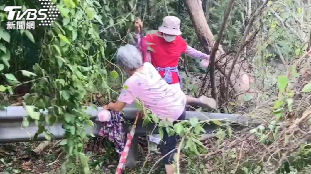 颱風軒嵐諾逼近 北部路樹傾倒、山區落石