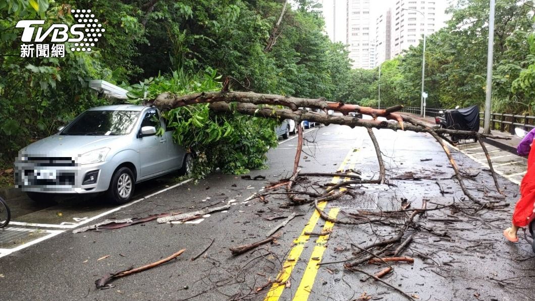 軒嵐諾步步逼近 淡水路樹倒塌砸爆小轎車