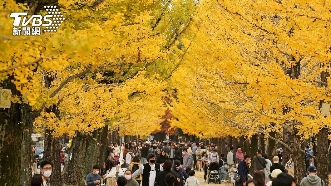 秋天氣候變化大。（圖／達志影像美聯社）