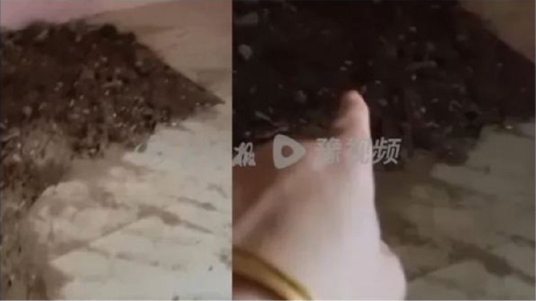 事後男方坦承殺害妻子並埋屍自家後院並蓋高樓和擺放紅布條、仙人掌鎮壓。（圖／翻攝自網易新聞）