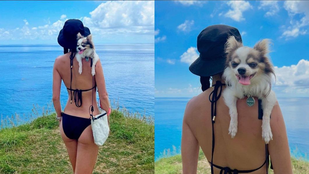 房思瑜背著愛犬登山。(圖/翻攝自房思瑜IG)