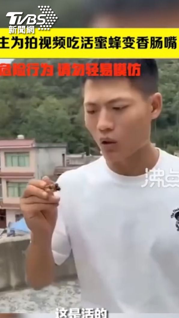 陸網紅表演吃活蜜蜂(TVBS/翻攝微博)