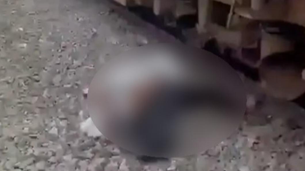 痛苦倒地的少年雖然並未喪命,不過身受面部與腿部骨折的重傷。(圖/翻攝自紐約郵報)