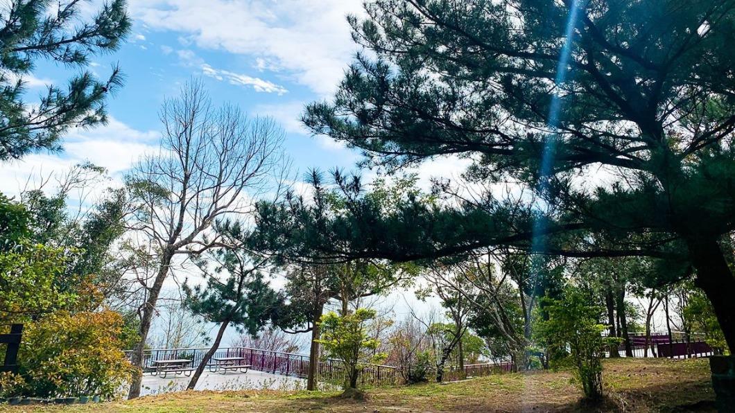 碧山露營場是國內少有的免費露營場。(圖/翻攝自碧山露營場臉書)