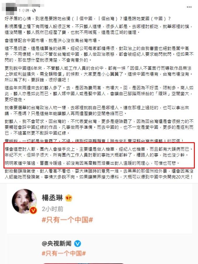 汪怡昕大罵楊丞琳,「可惜也可悲。」(圖/翻攝自汪怡昕個人臉書)