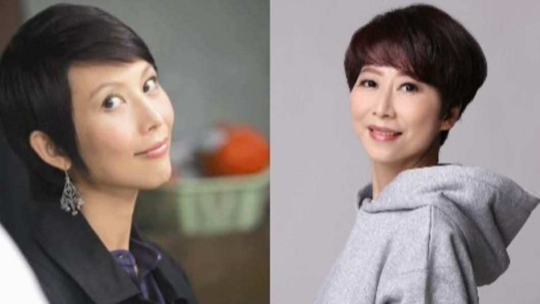 民進黨立委陳亭妃(右)神似港星蔡少芬(左)。(圖/翻攝自蔡少芬、陳亭妃臉書)