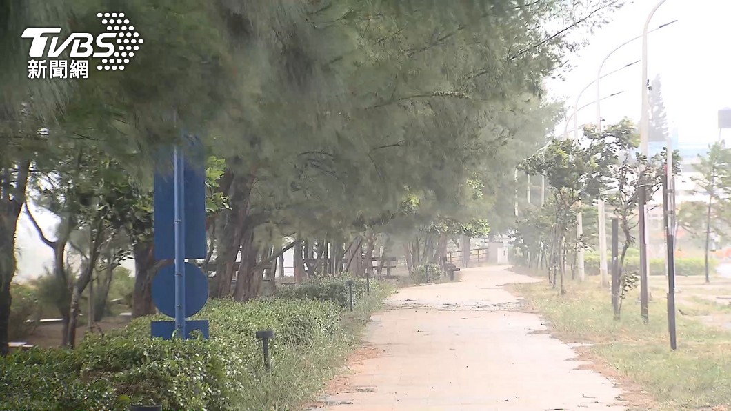 小鋼炮「梅花」發海警!今起S型緩慢北上 這地防雨彈狂炸