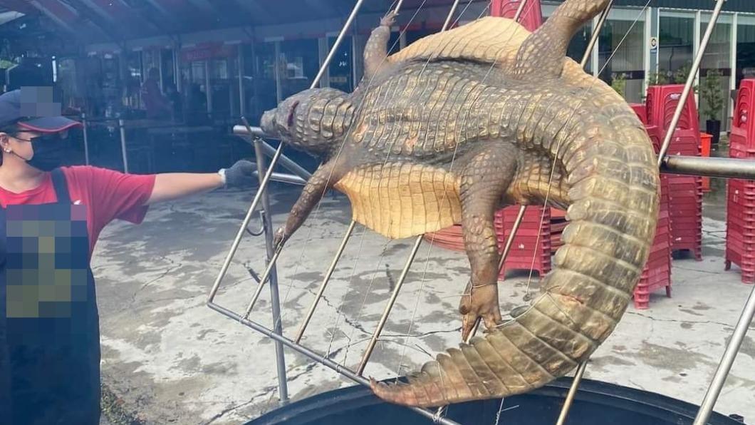 還再烤肉片?嘉義直接烤鱷魚。(圖/翻攝自嘉義多一點臉書)