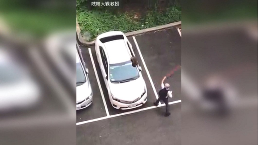 圖/翻攝動物梗圖星球