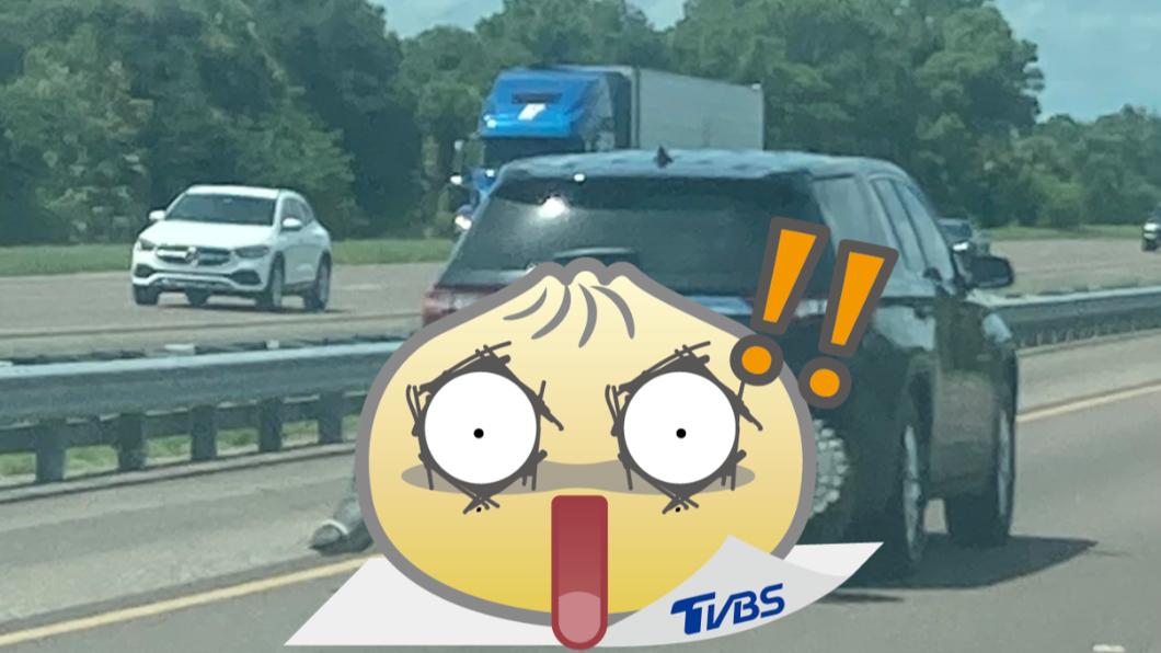 比車還寬!車主載巨鱷一路狂飆 超猛綁法「秒變保險桿」