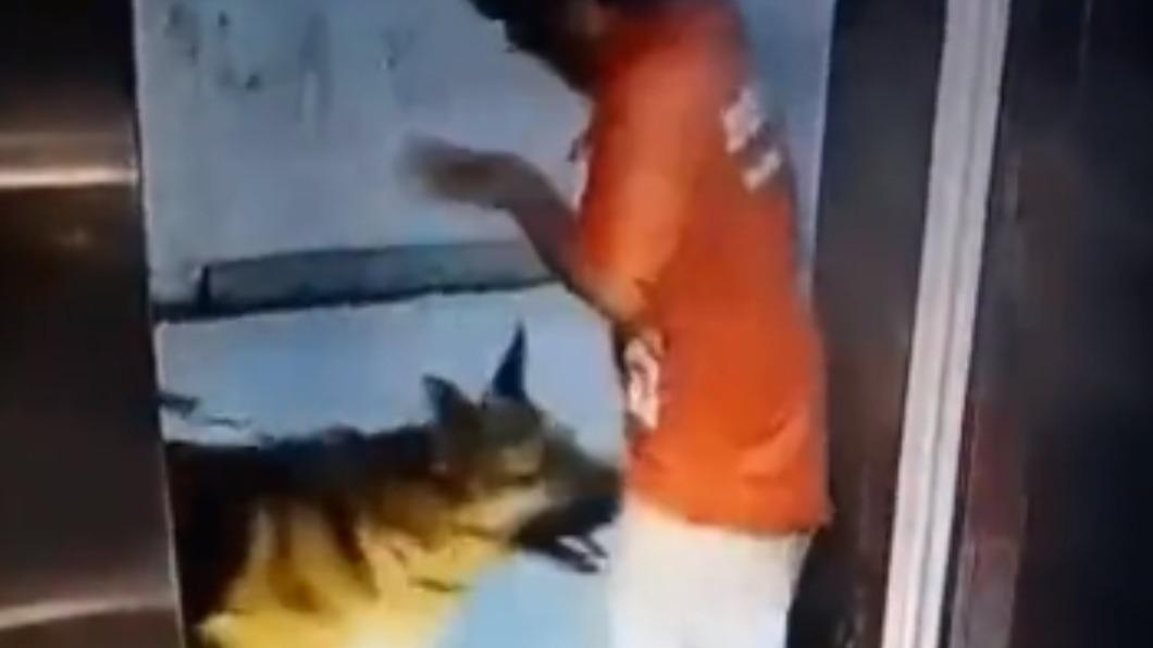 外送員出電梯被德國狼犬狠咬下體 恐怖「爆蛋」畫面瘋傳