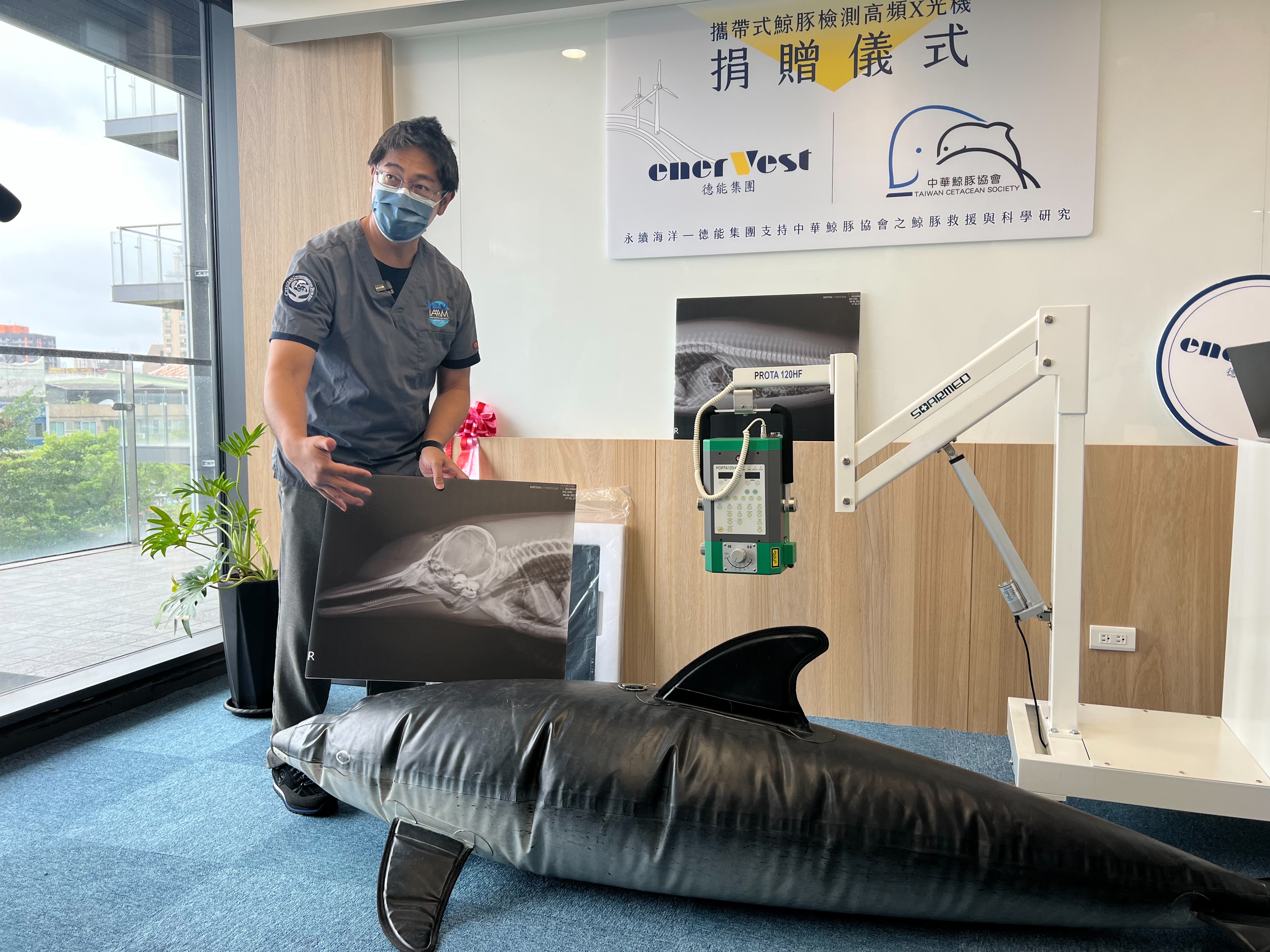 中華鯨豚協會說明,若能用X光機初步判斷出病因,則可即時為擱淺鯨豚進行治療。(圖/德能集團提供)