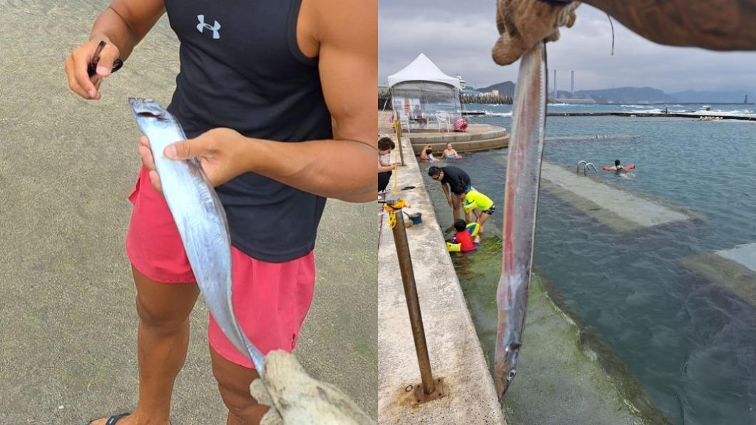 救生員捕撈白帶魚後未依規定放生自然海域。(圖/翻攝自臉書)