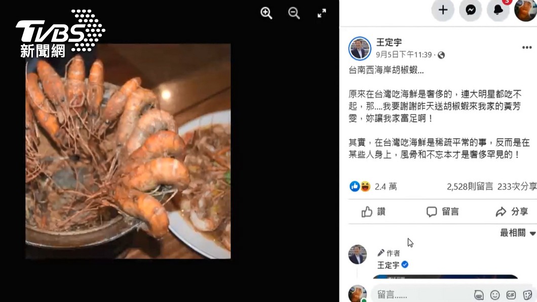 民進黨立委王定宇陷盜圖風波。（圖／TVBS）