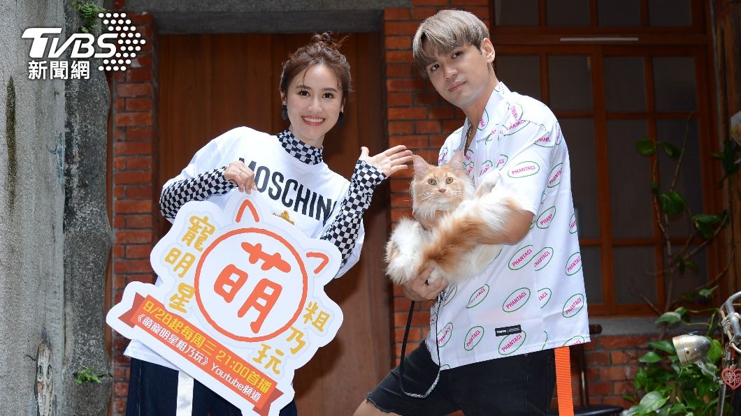 吳姍儒愛犬「呵喜」萌翻!陳零九推坑貓奴必買神物:用過回不去