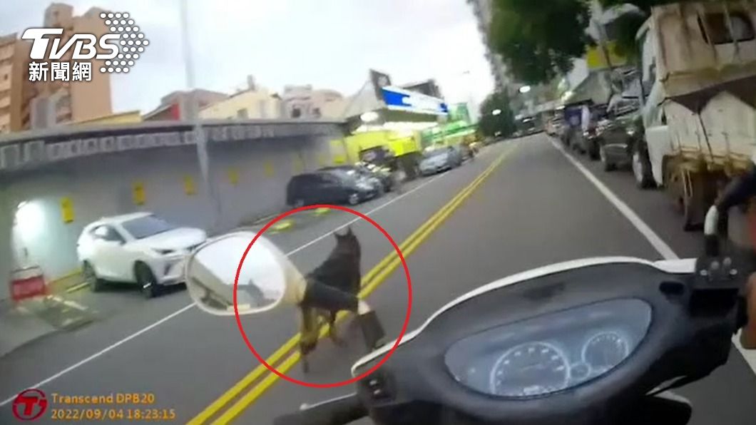 狼犬趴前往超市。(圖/TVBS)