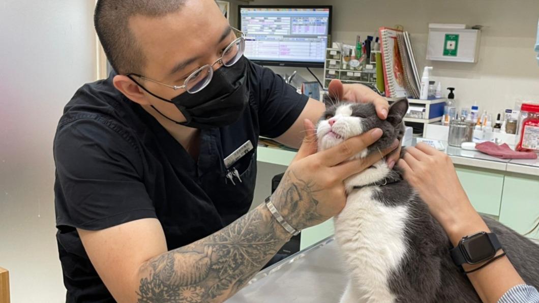 許皓鈞說明,不同動物種別之間可使用的藥物及劑量皆不相同,若誤用恐有嚴重後果。(圖/台南市政府農業局提供)