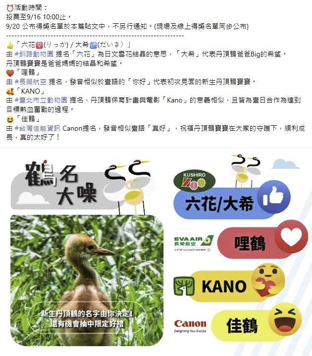丹頂鶴寶寶命名活動,同步在動物園粉絲專頁開放民眾投票。(圖/台北市立動物園提供)