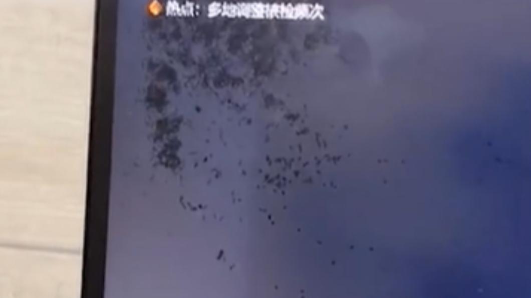 陳姓女子表示,可能是喝奶茶時濺到螢幕,導致牠們有機會鑽進去。(圖/翻攝自微博)