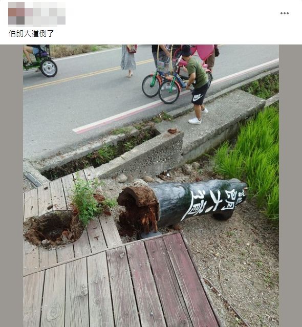 伯朗大道是知名觀光景點。(圖/翻攝自爆廢公社)