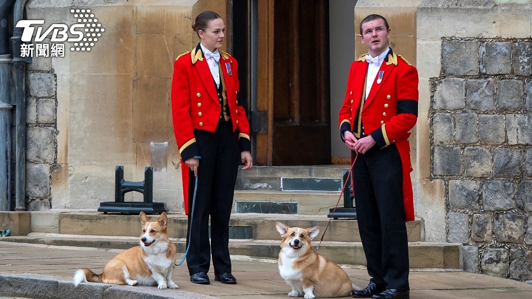 英國女王安葬溫莎城堡 愛犬迎靈送主人最後一程
